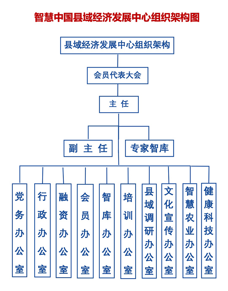 县域中心组织架构图.jpeg