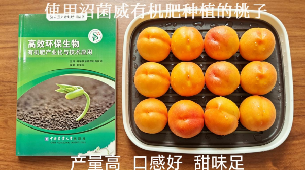 智慧中国县域经济发展中心 赴廊坊沼菌威科技集团座谈并达成合作意向