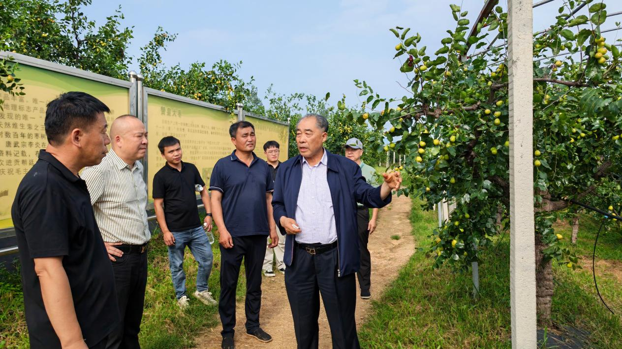 精准赋能特色农企 助推产业提质升级 智慧中国县域经济发展中心莅临河北 枣能元食品有限公司考察交流