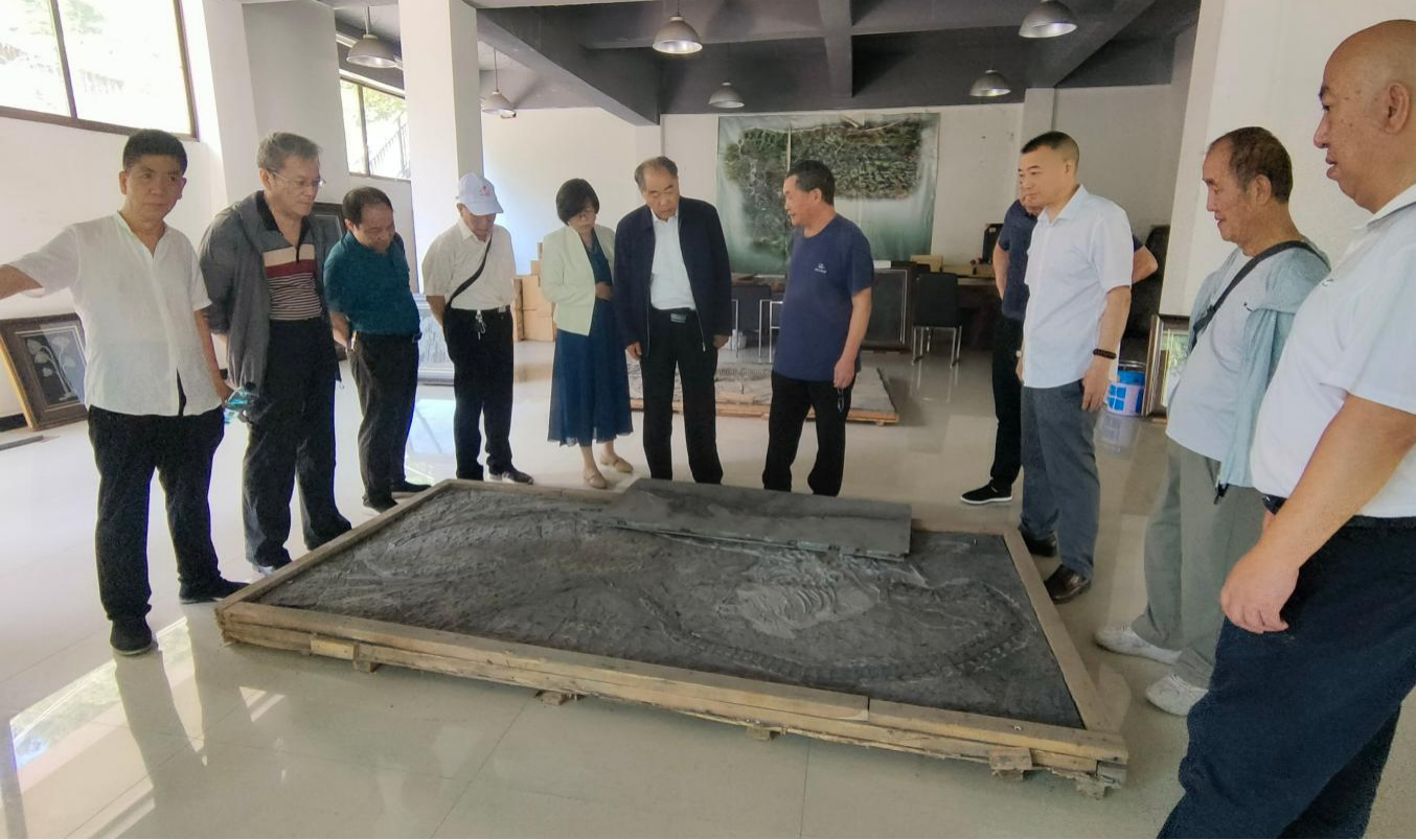 挖掘化古资源 助力贵阳文旅升级 智慧中国县域经济发展中心考察贵州 三叠纪博物馆项目